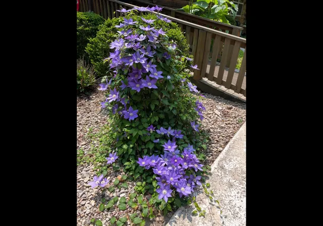 $535,000 | 474 Pigeon Springs Road, Tracy City, TN 37387