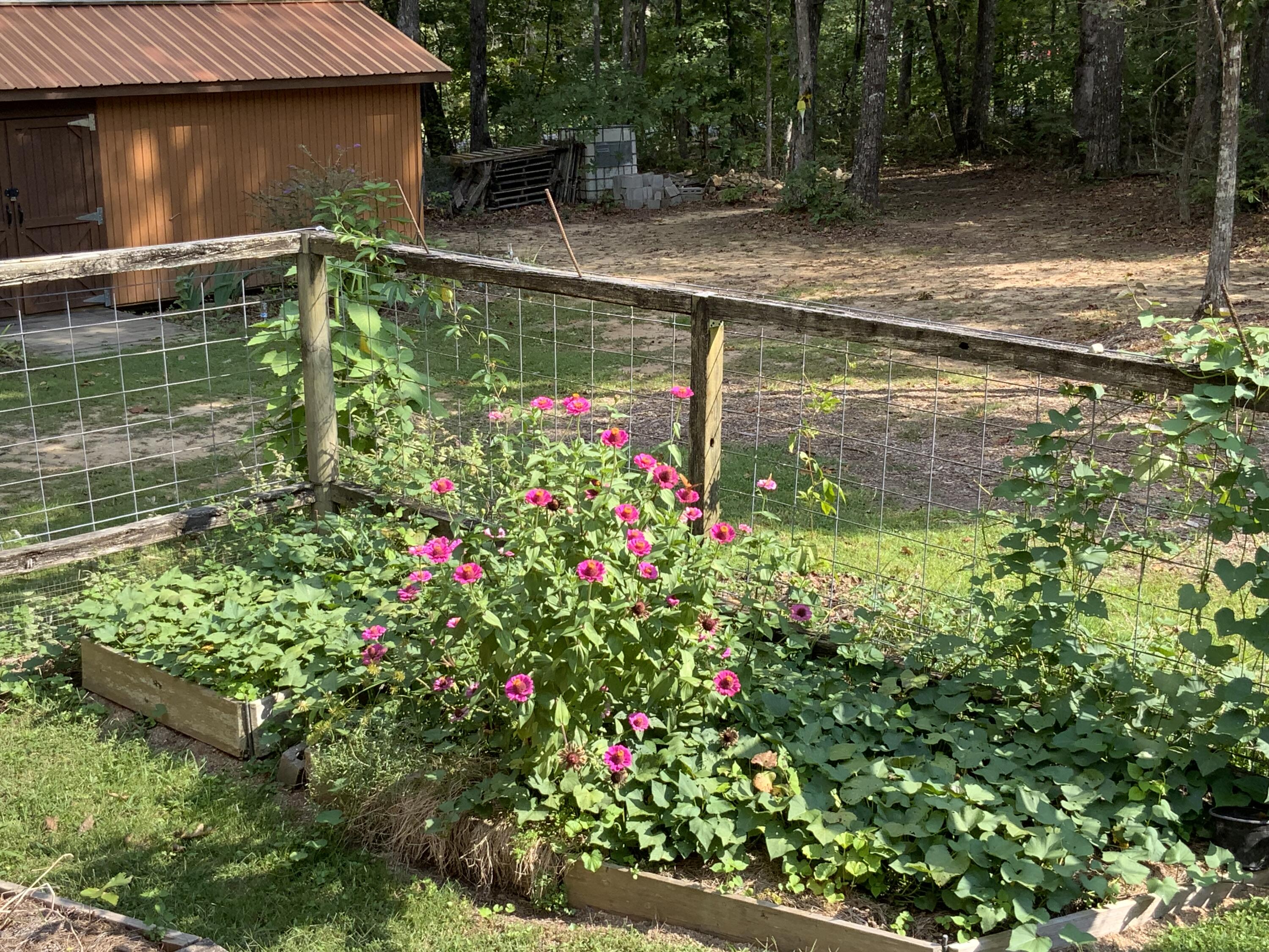 474 Pigeon Springs Road Tracy City, TN 37387 - Photo 48 of 73 PS 51