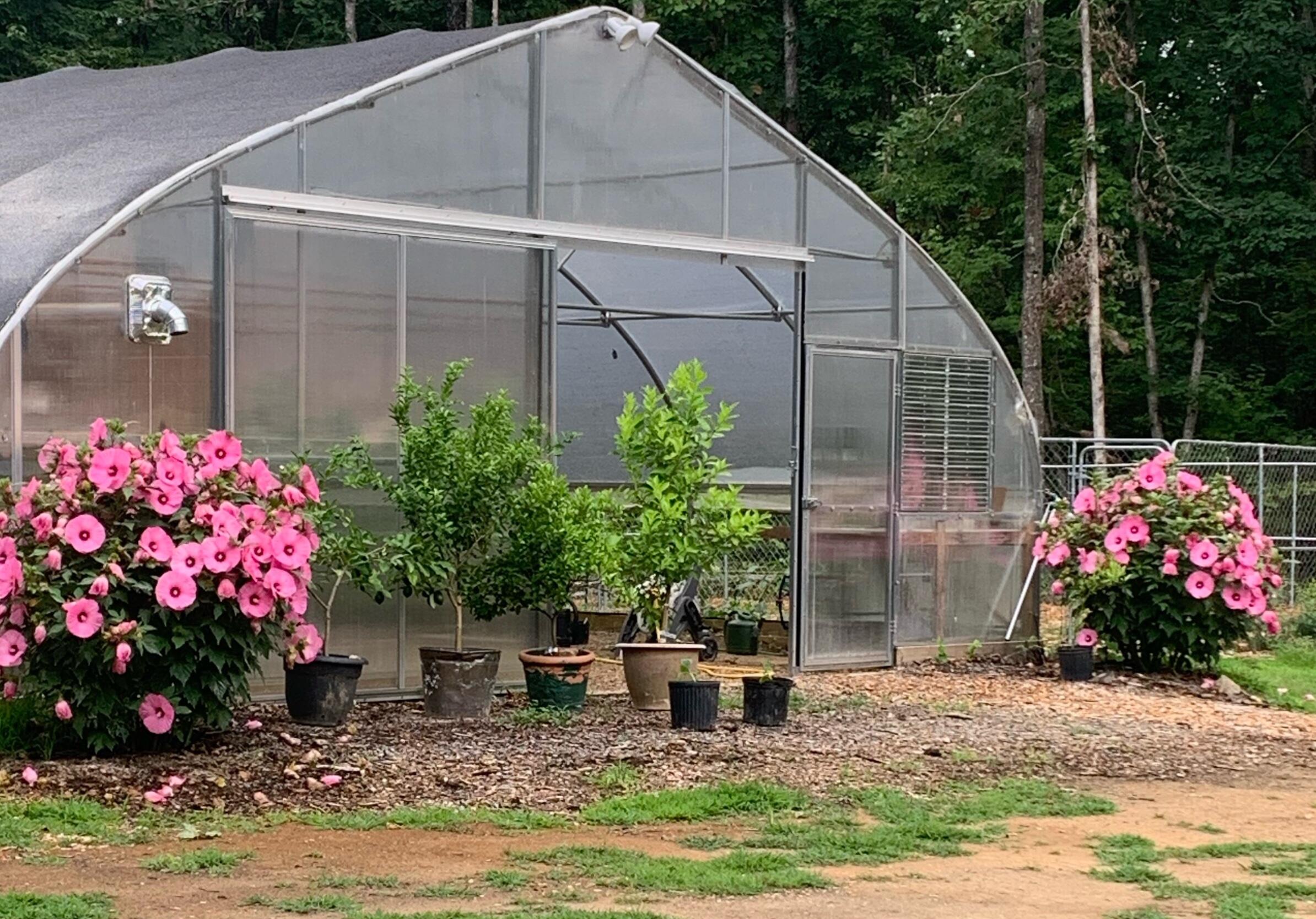 474 Pigeon Springs Road Tracy City, TN 37387 - Photo 56 of 73 PS 67