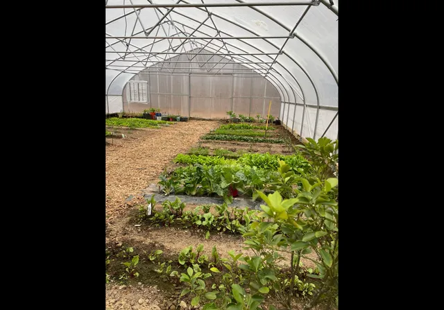 $535,000 | 474 Pigeon Springs Road, Tracy City, TN 37387