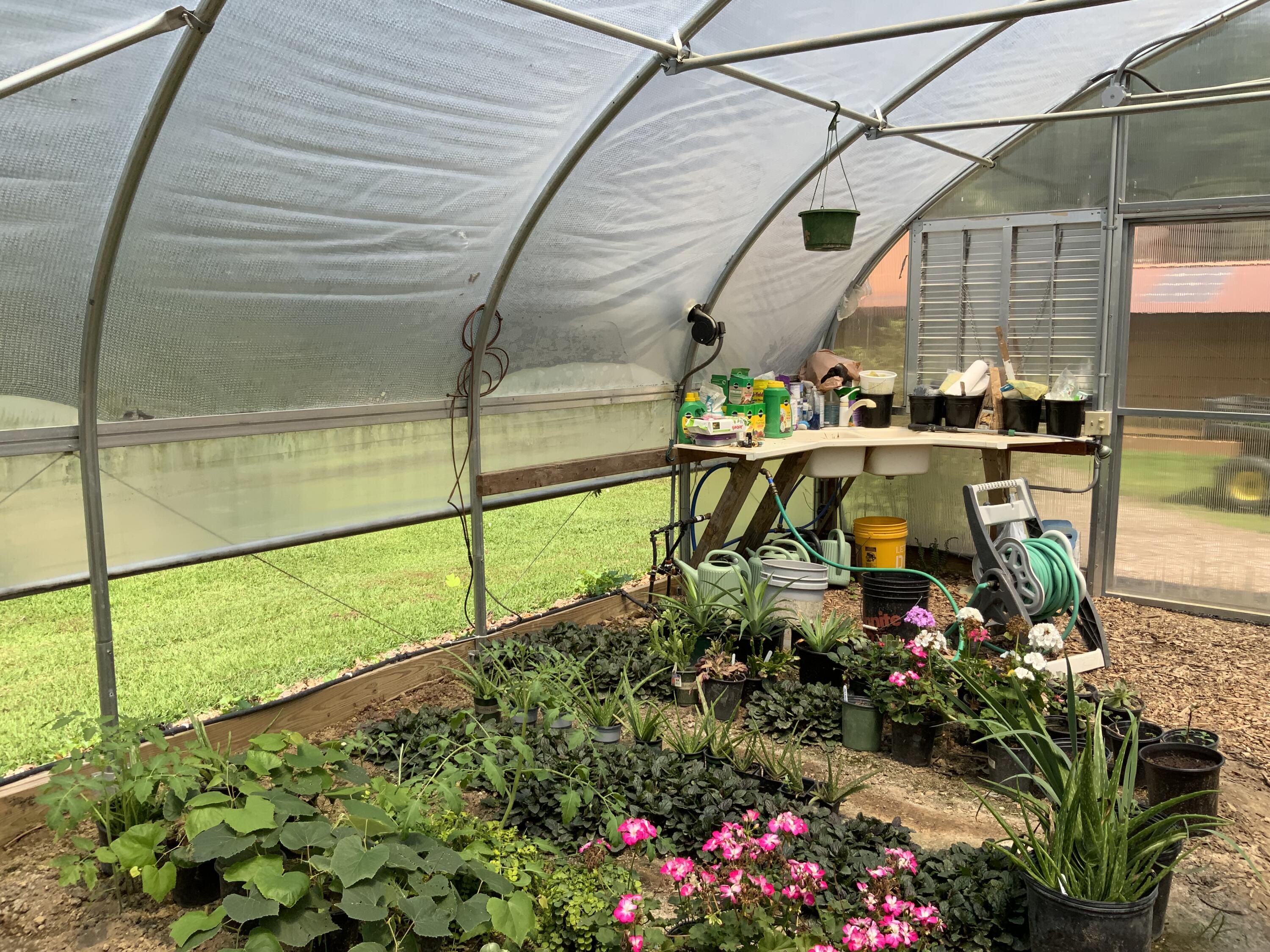 474 Pigeon Springs Road Tracy City, TN 37387 - Photo 60 of 73 474 PS 13