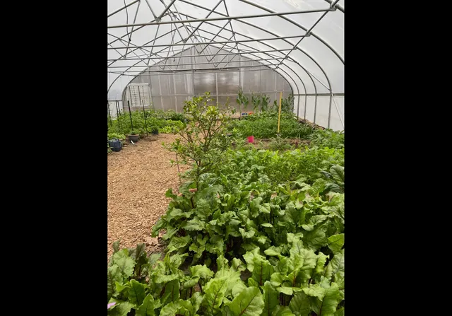 $535,000 | 474 Pigeon Springs Road, Tracy City, TN 37387