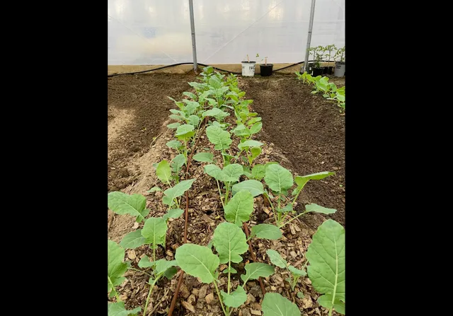 $535,000 | 474 Pigeon Springs Road, Tracy City, TN 37387