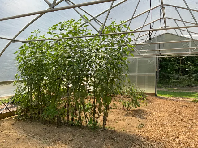 $535,000 | 474 Pigeon Springs Road, Tracy City, TN 37387