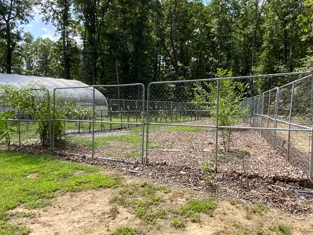 $535,000 | 474 Pigeon Springs Road, Tracy City, TN 37387