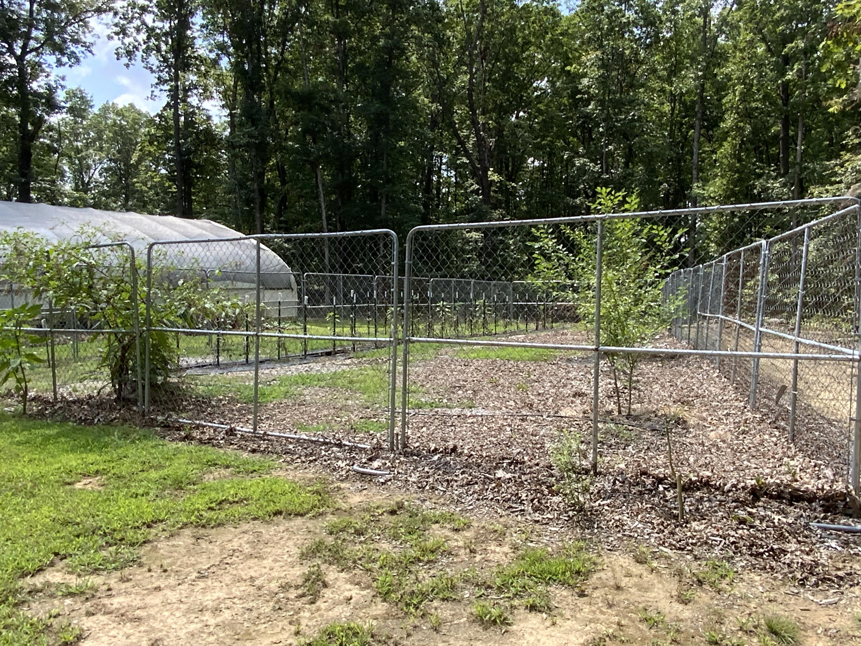 474 Pigeon Springs Road Tracy City, TN 37387 - Photo 66 of 73 474 PS 4