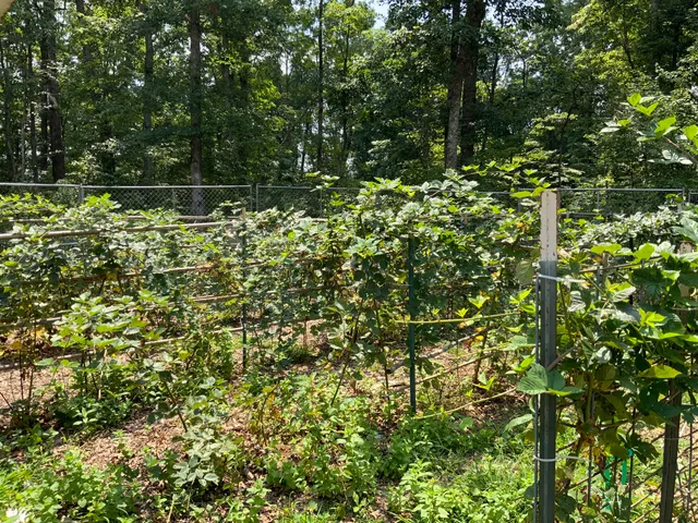 $535,000 | 474 Pigeon Springs Road, Tracy City, TN 37387