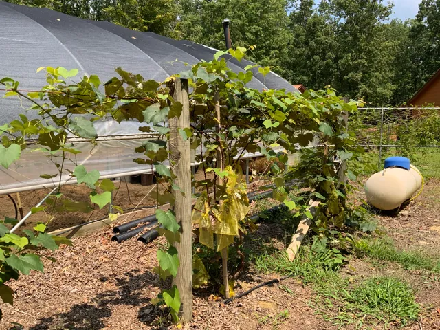 $535,000 | 474 Pigeon Springs Road, Tracy City, TN 37387