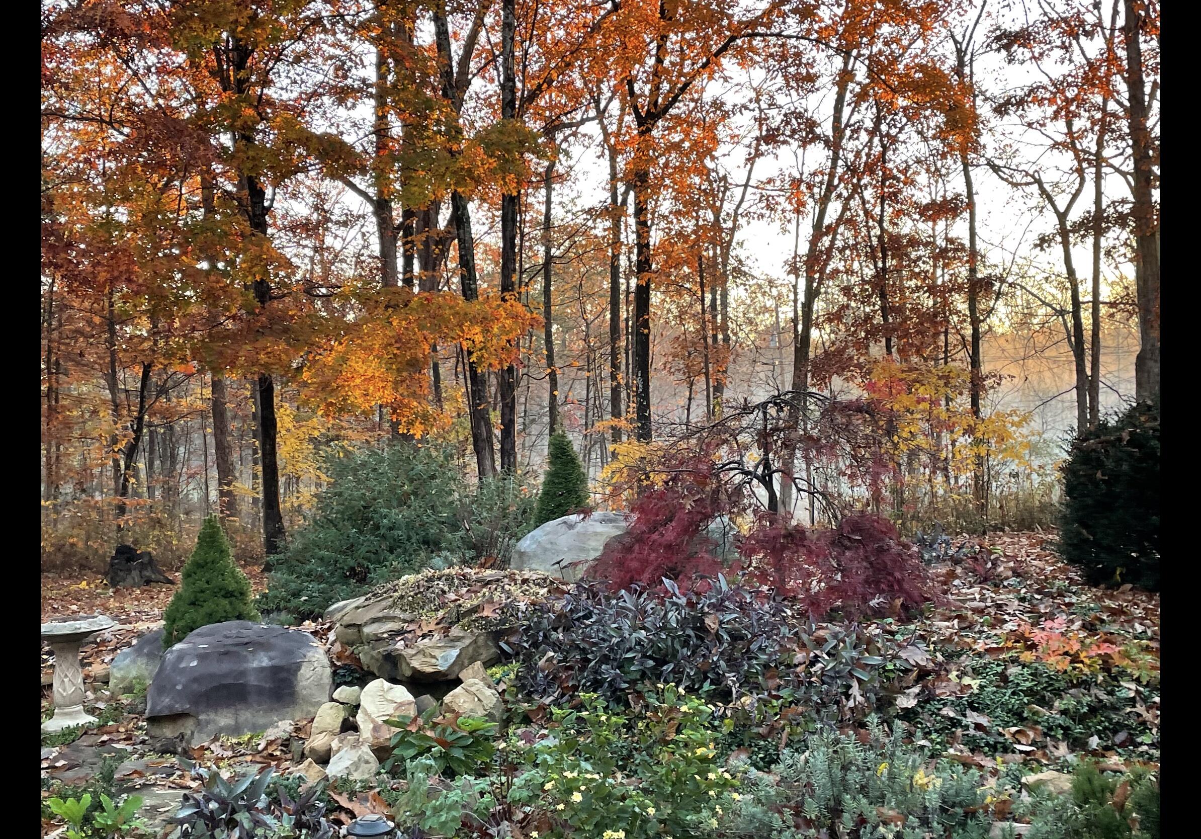 474 Pigeon Springs Road Tracy City, TN 37387 - Photo 72 of 73 PS 74