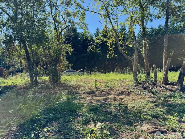 a view of a yard with large trees