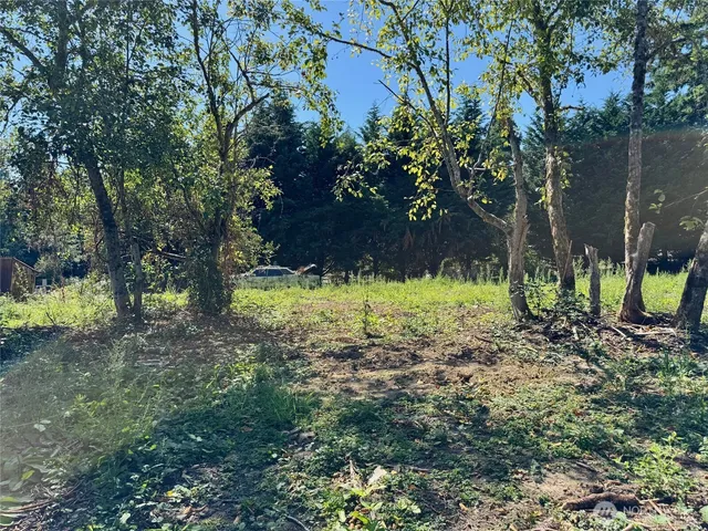 a view of a yard with large trees