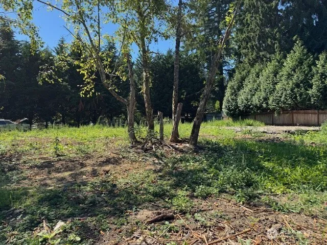 a view of a sink in a yard