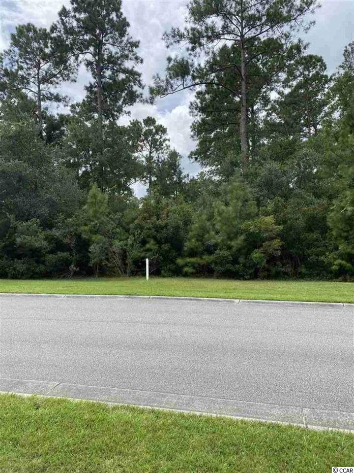 139 Knotty Pine Way Murrells Inlet, SC 29576 - Photo 2 of 6 Gallery Image 2
