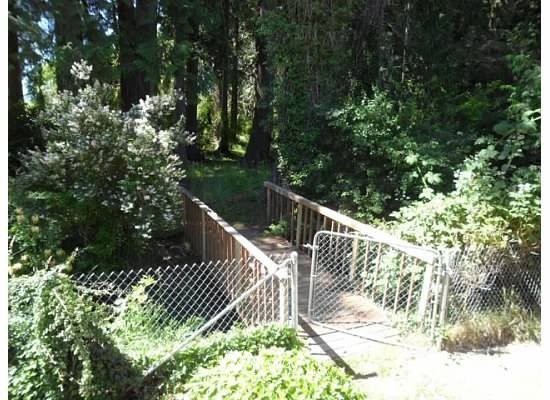 89 Monte Elma Road Montesano, WA 98563 - Photo 20 of 24 Gallery Image 20