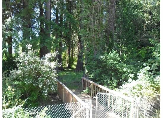 89 Monte Elma Road Montesano, WA 98563 - Photo 21 of 24 Gallery Image 21