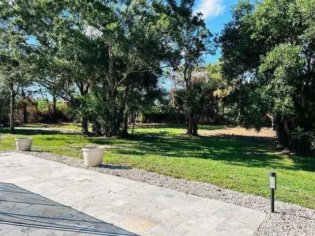 a view of a park with large trees