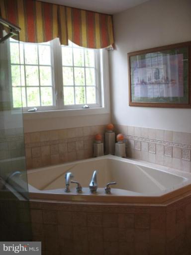 2471 Apple Pie Ridge Road Winchester, VA 22603 - Photo 13 of 30 Master Bath Jetted Tub
