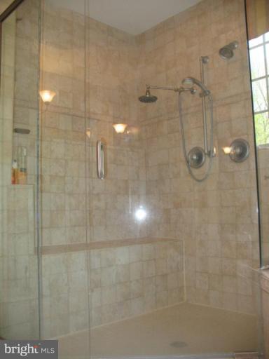 2471 Apple Pie Ridge Road Winchester, VA 22603 - Photo 14 of 30 Master Bath Spa Shower