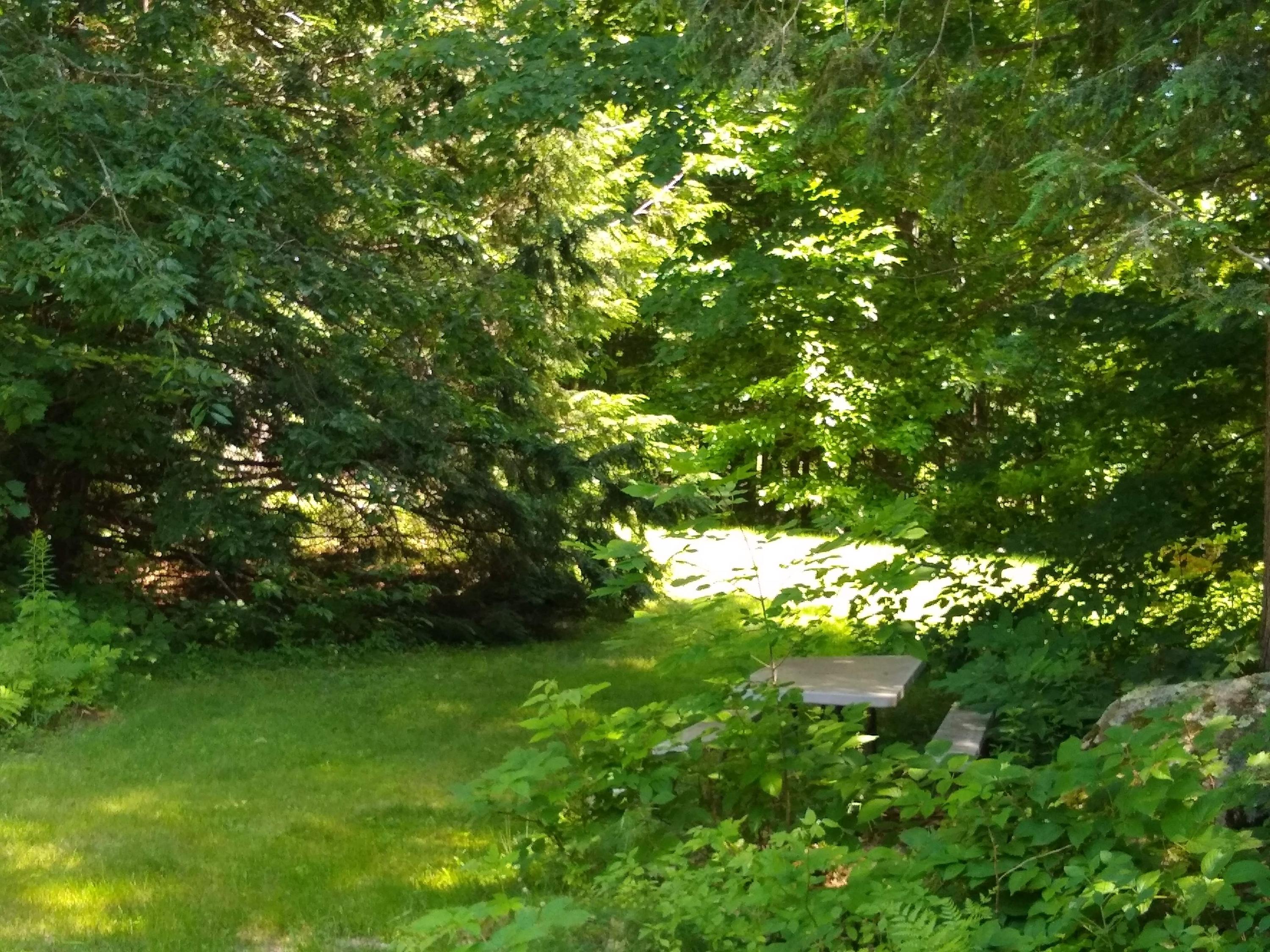253 Meadowhill Road Manchester, ME 04351 - Photo 7 of 56 IMG_20190716_140956976