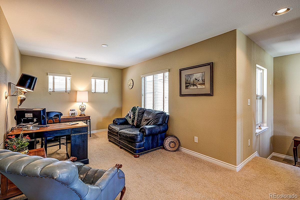3015 Veneto Court Highlands Ranch, CO 80126 - Photo 21 of 31 Gallery Image 21