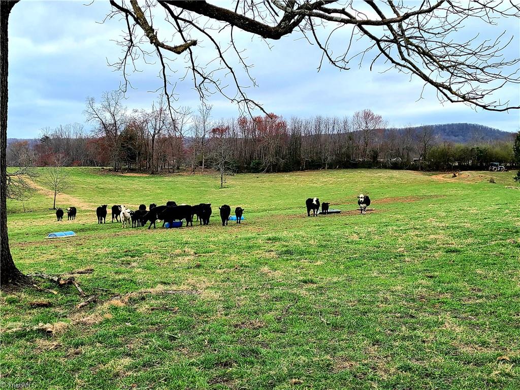 374 Bagley Springs Road Ronda, NC 28670 - Photo 24 of 41 Gallery Image 24