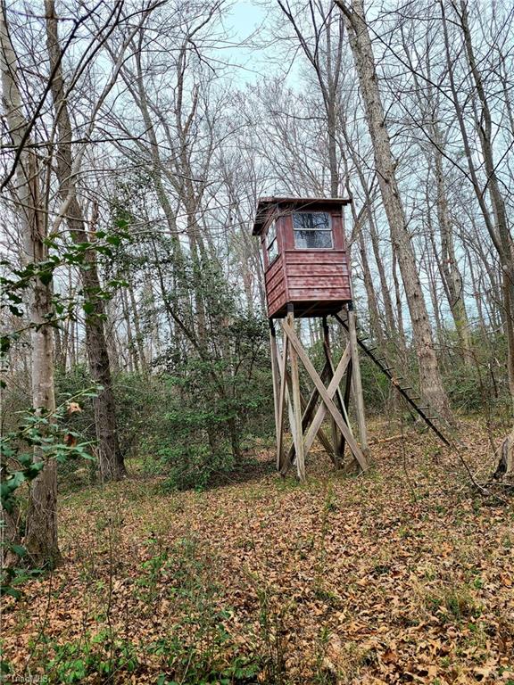 374 Bagley Springs Road Ronda, NC 28670 - Photo 34 of 41 Gallery Image 34