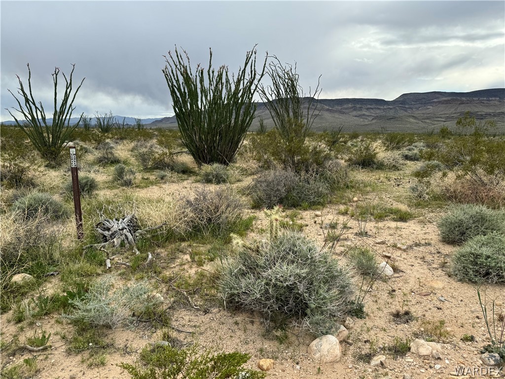 0 West Sunset Road Yucca, AZ 86438 - Photo 3 of 27 Gallery Image 3
