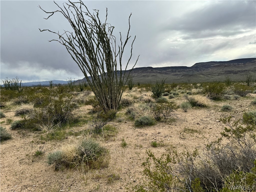 0 West Sunset Road Yucca, AZ 86438 - Photo 10 of 27 Gallery Image 10