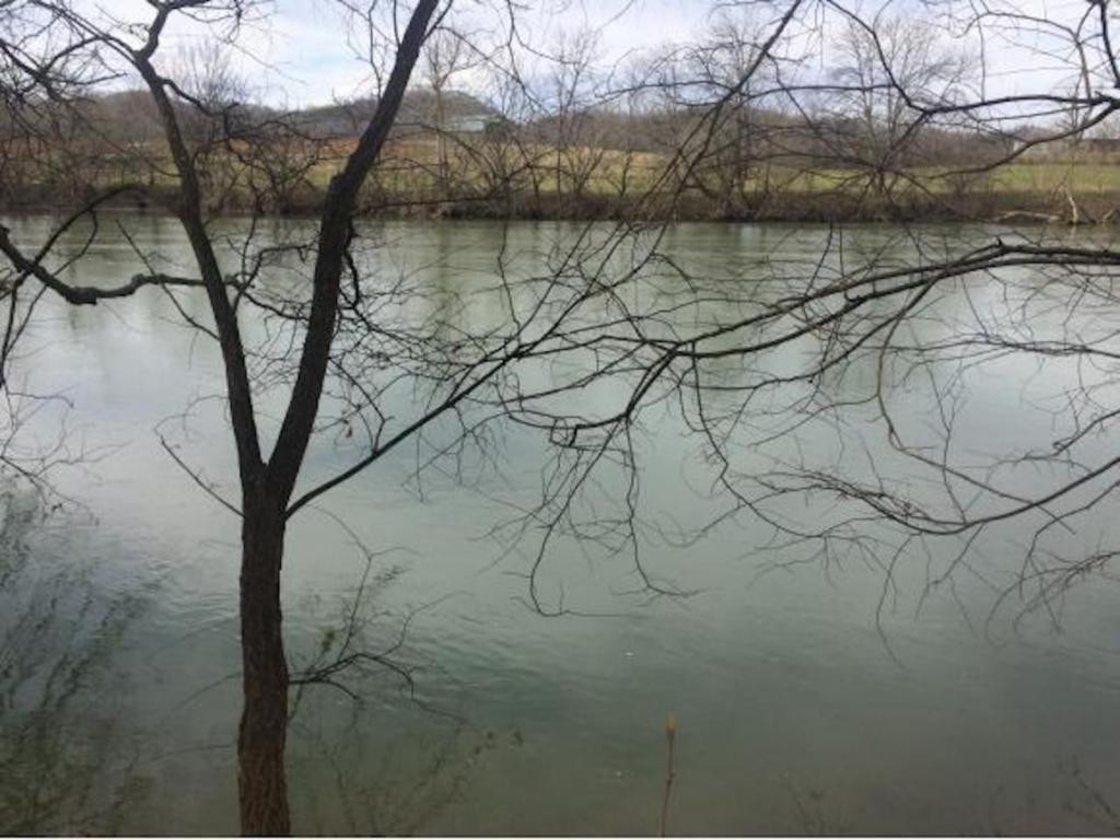 0 Stepp Road Bybee, TN 37713 - Photo 2 of 13 Photo 2