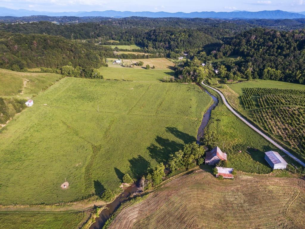 0 Stepp Road Bybee, TN 37713 - Photo 7 of 13 Photo 7