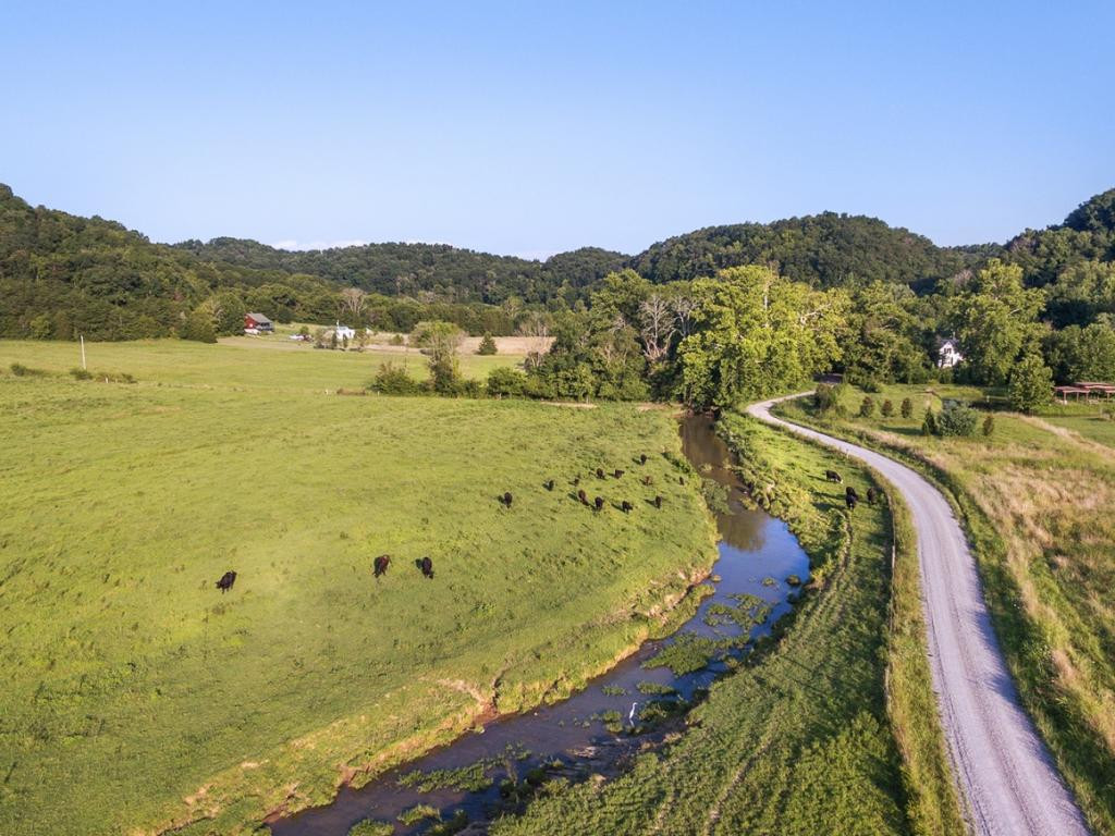 0 Stepp Road Bybee, TN 37713 - Photo 8 of 13 Photo 8