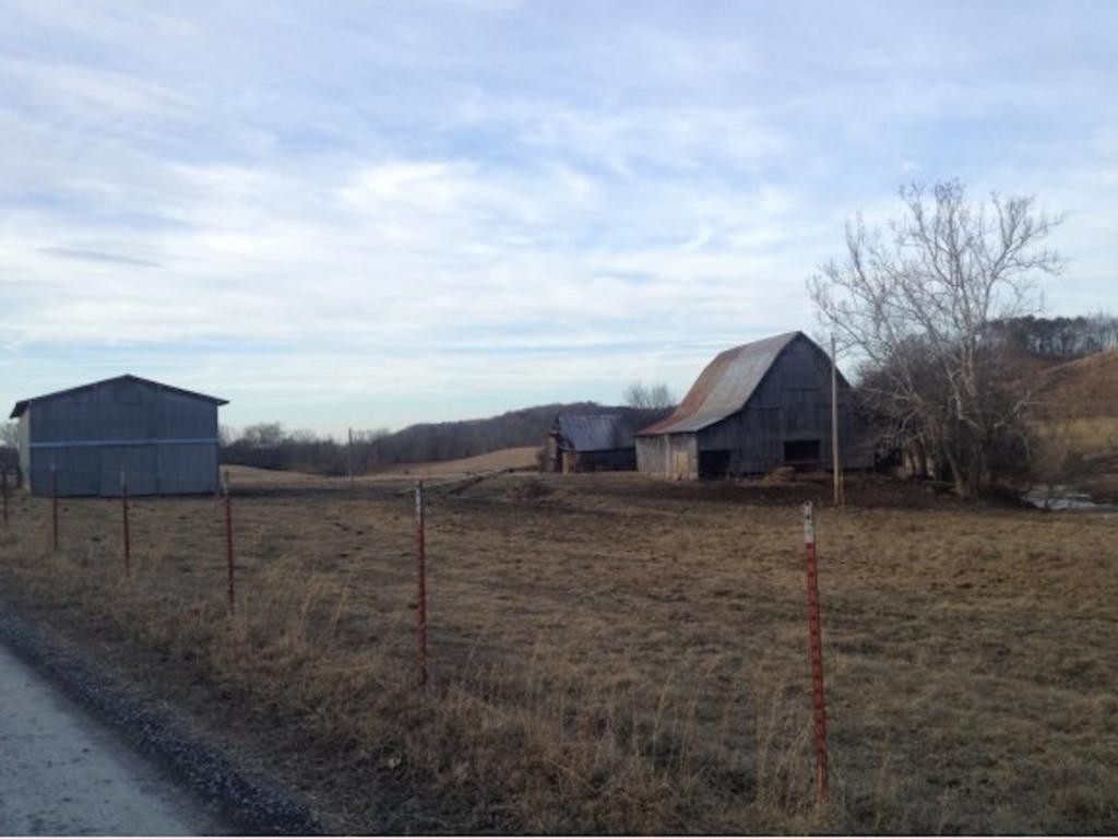 0 Stepp Road Bybee, TN 37713 - Photo 10 of 13 Photo 10