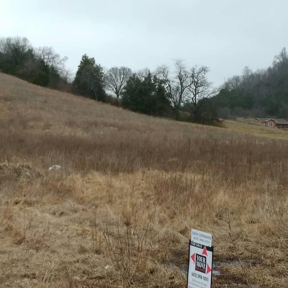0 Hatchett Hollow Road Bell Buckle, TN 37020 - Photo 1 of 2 Gallery Image 1