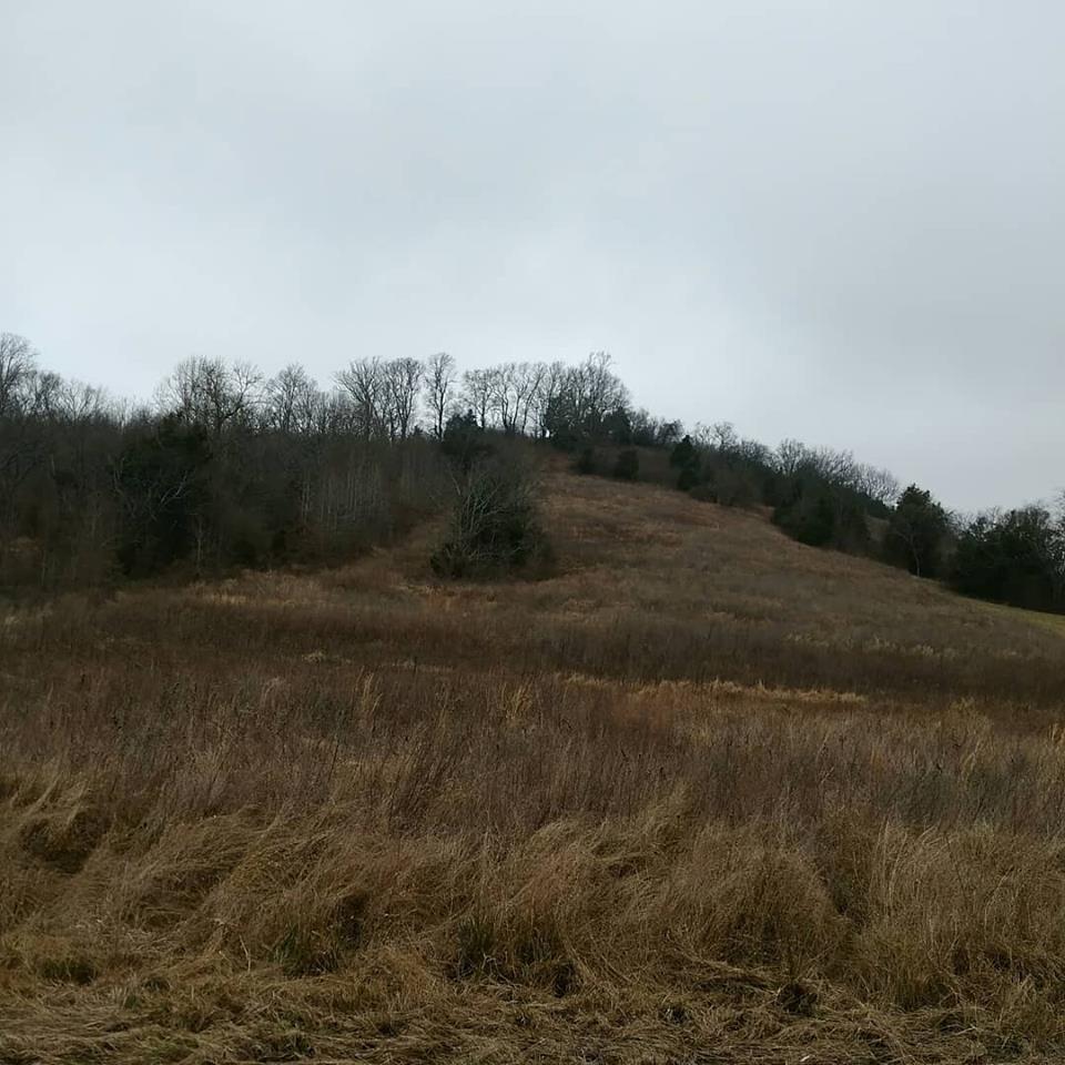 0 Hatchett Hollow Road Bell Buckle, TN 37020 - Photo 2 of 2 Gallery Image 2