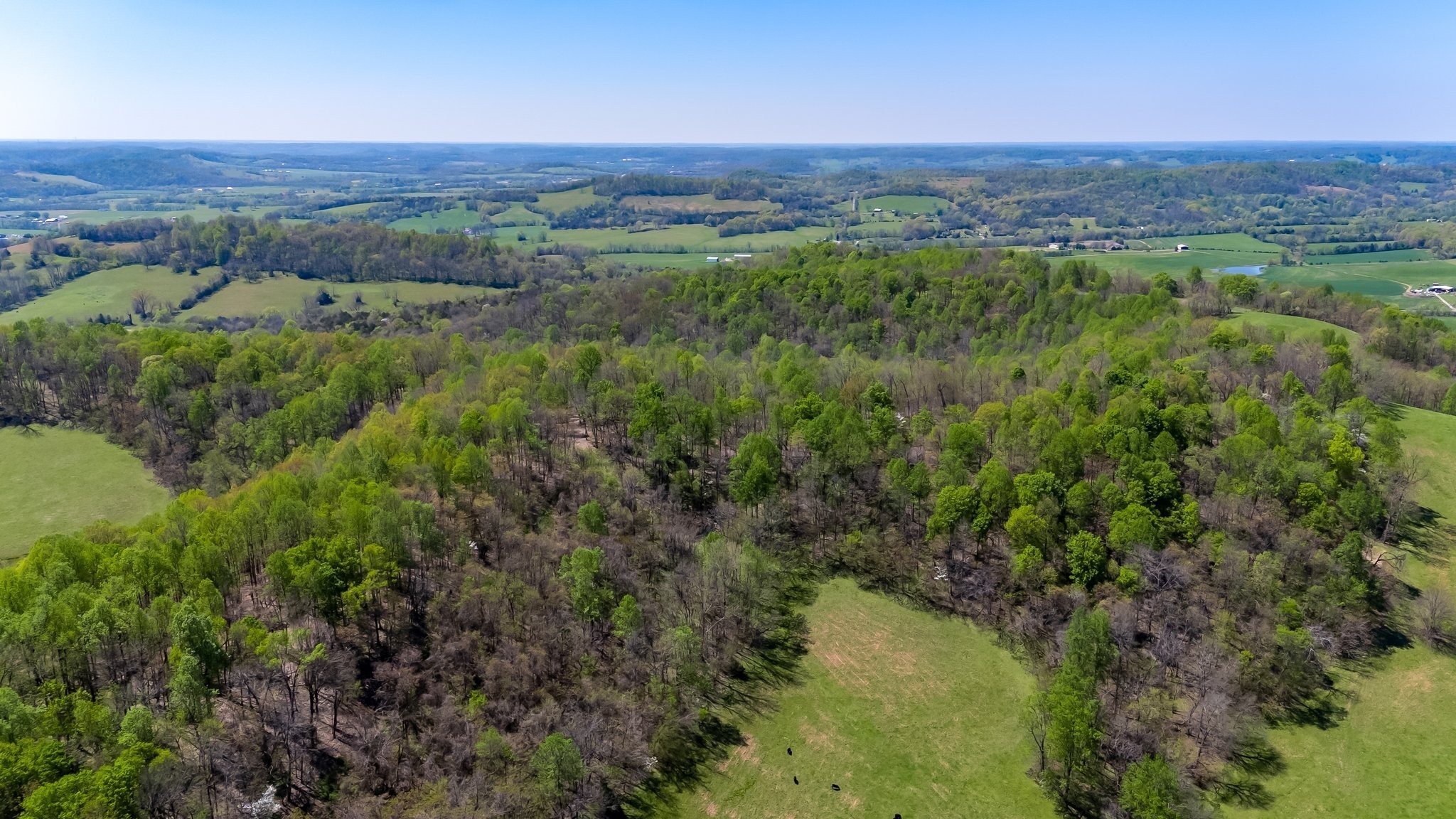 2819 A Yell Road Lewisburg, TN 37091 - Photo 17 of 33 an aerial view of a houses with a lush green hillside