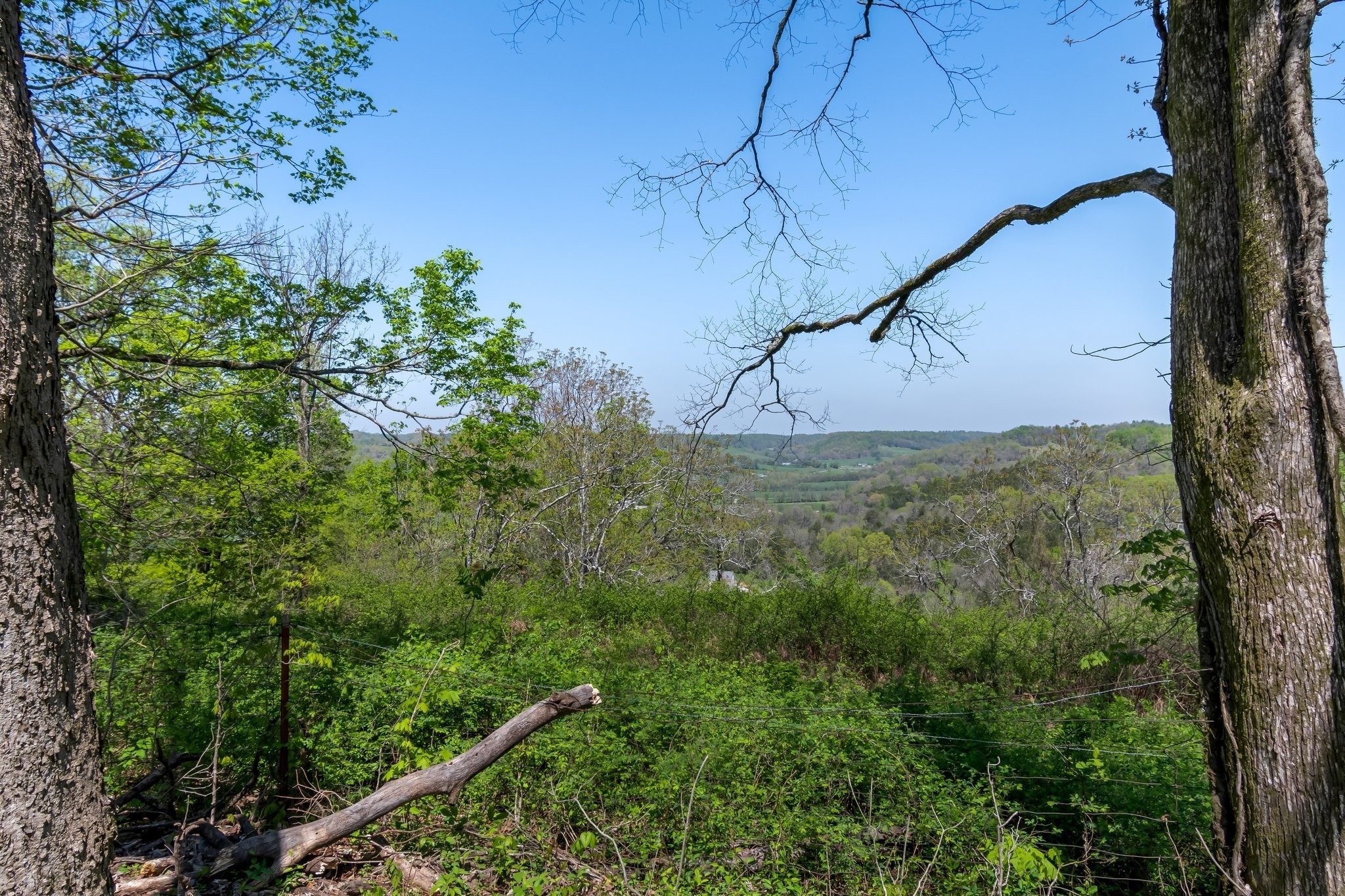 2819 A Yell Road Lewisburg, TN 37091 - Photo 2 of 33 a view of a yard