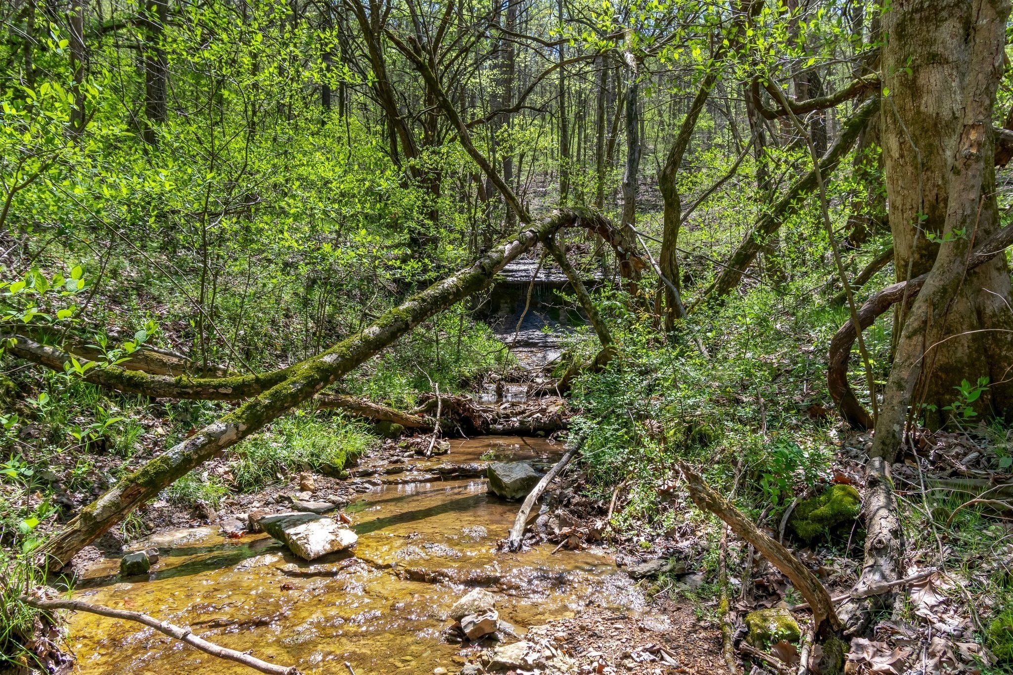 2819 A Yell Road Lewisburg, TN 37091 - Photo 21 of 33