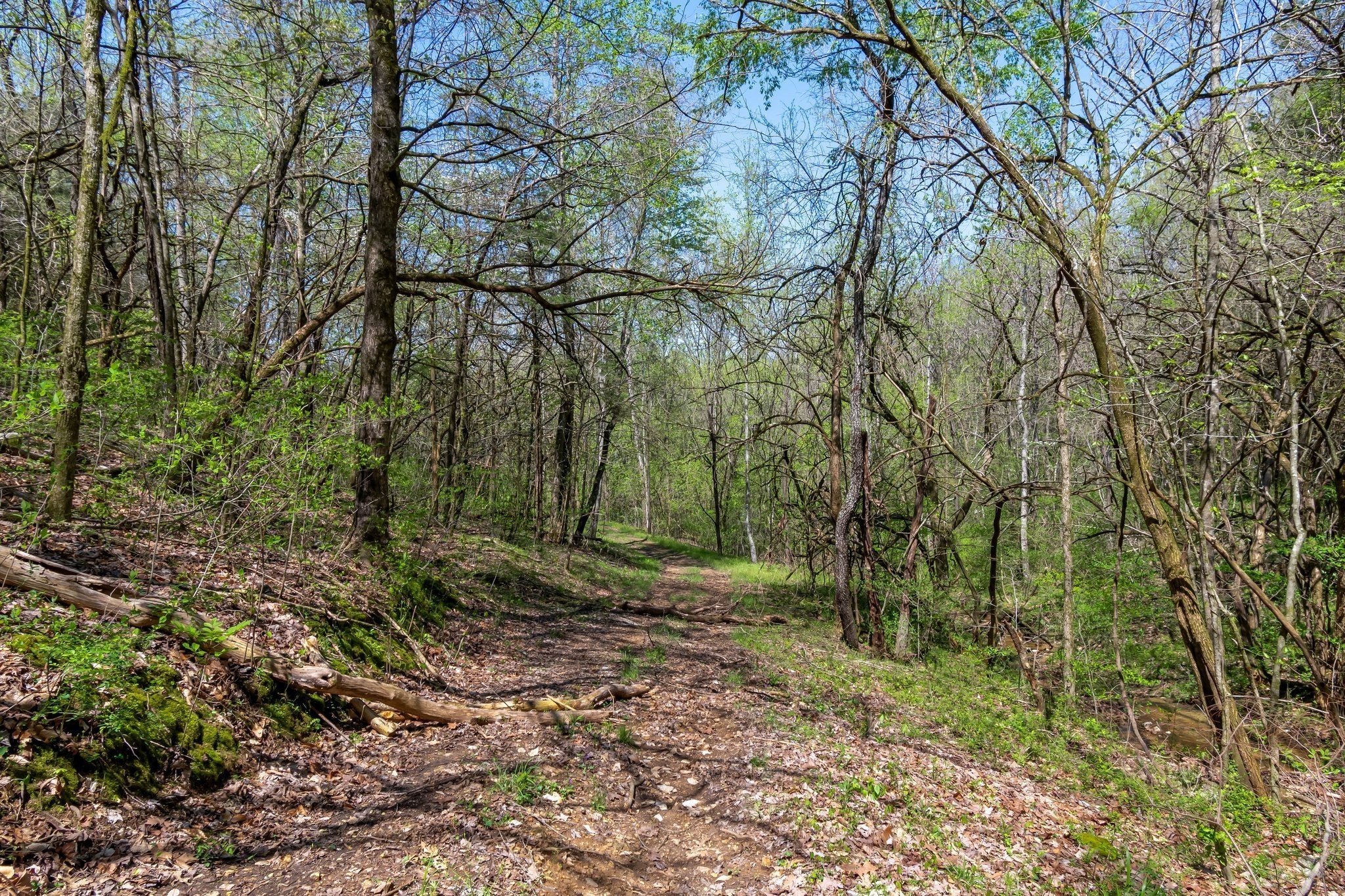 2819 A Yell Road Lewisburg, TN 37091 - Photo 25 of 33 a backyard of a house with lots of green space