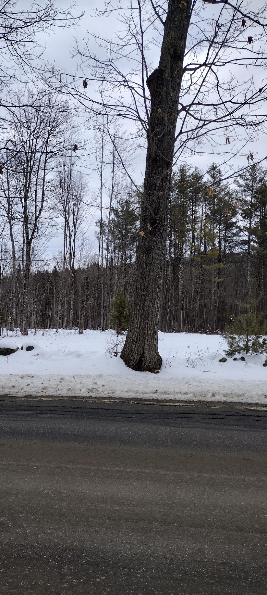 Lot #5 NORTH Rd Mount Mount Vernon, ME 04352 - Photo 2 of 3 1620943264883087958