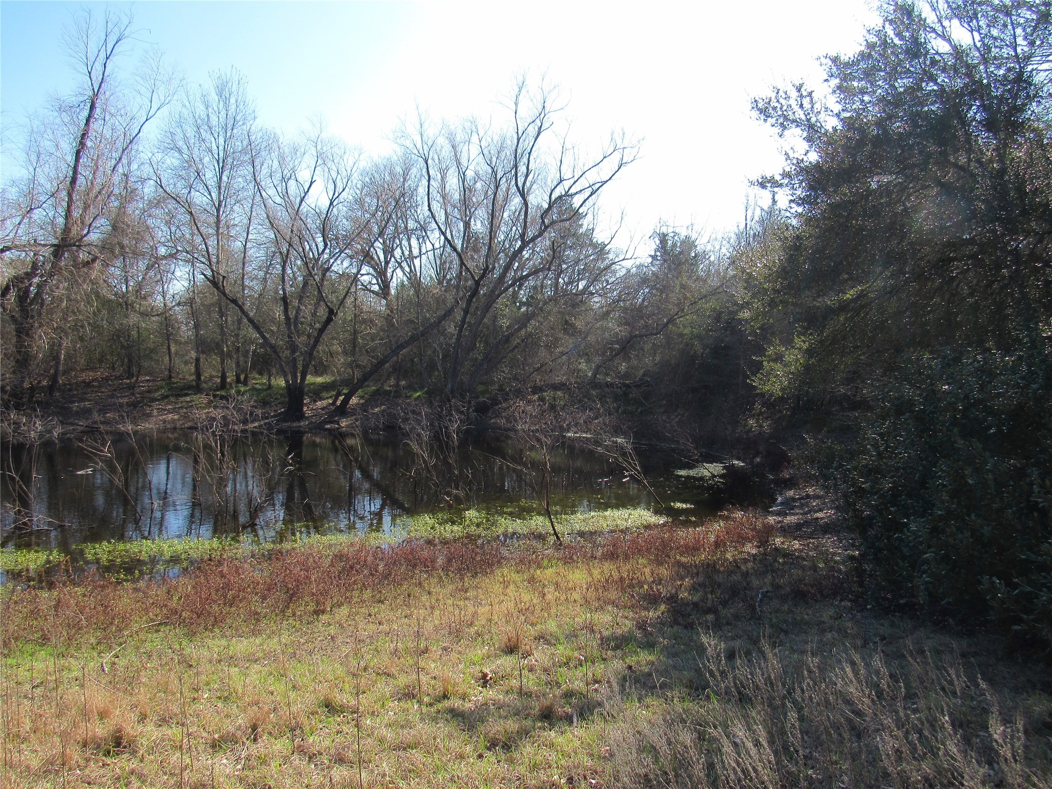 7515 Shelby Road Burton, TX 77835 - Photo 14 of 26 a view of a lake view