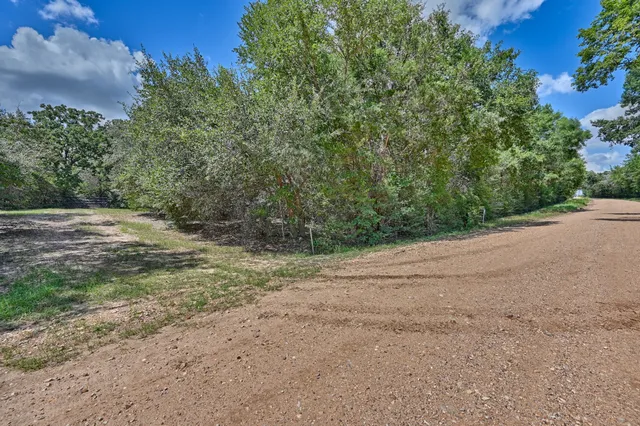 a view of a dirt road with trees in the background