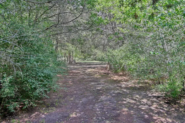 a view of outdoor space and yard
