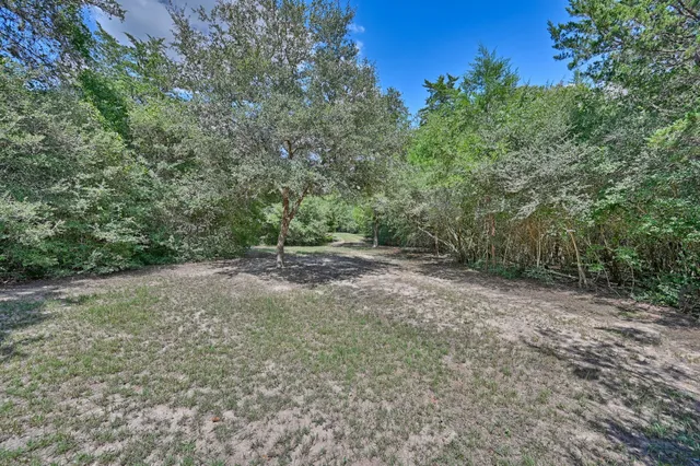 a view of a forest with trees in the background