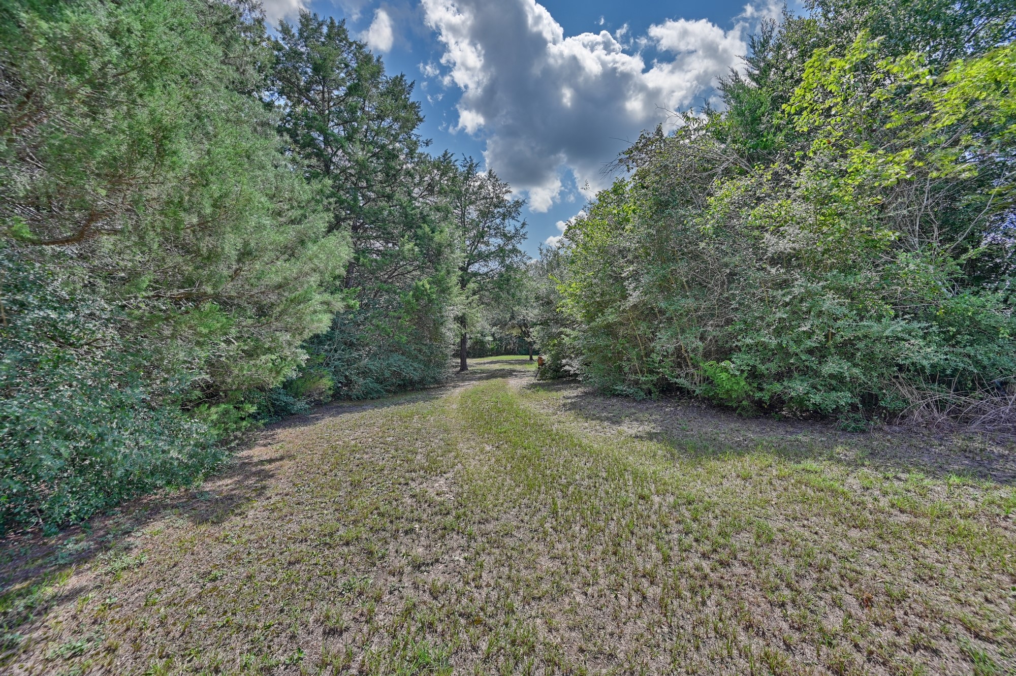 7515 Shelby Road Burton, TX 77835 - Photo 23 of 26 a view of a field with trees in the background