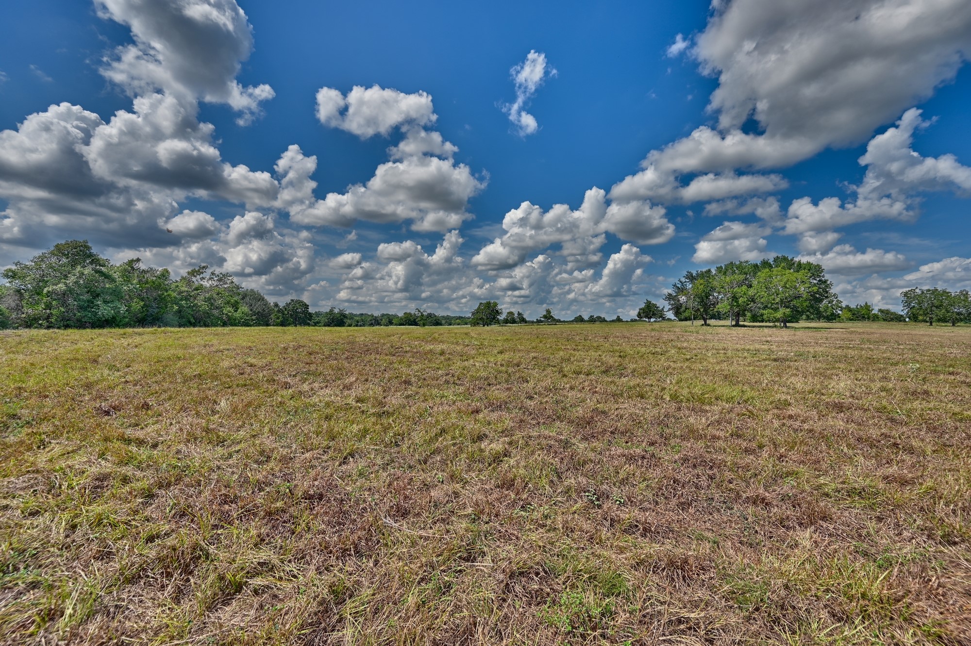 7515 Shelby Road Burton, TX 77835 - Photo 24 of 26 a view of a lake