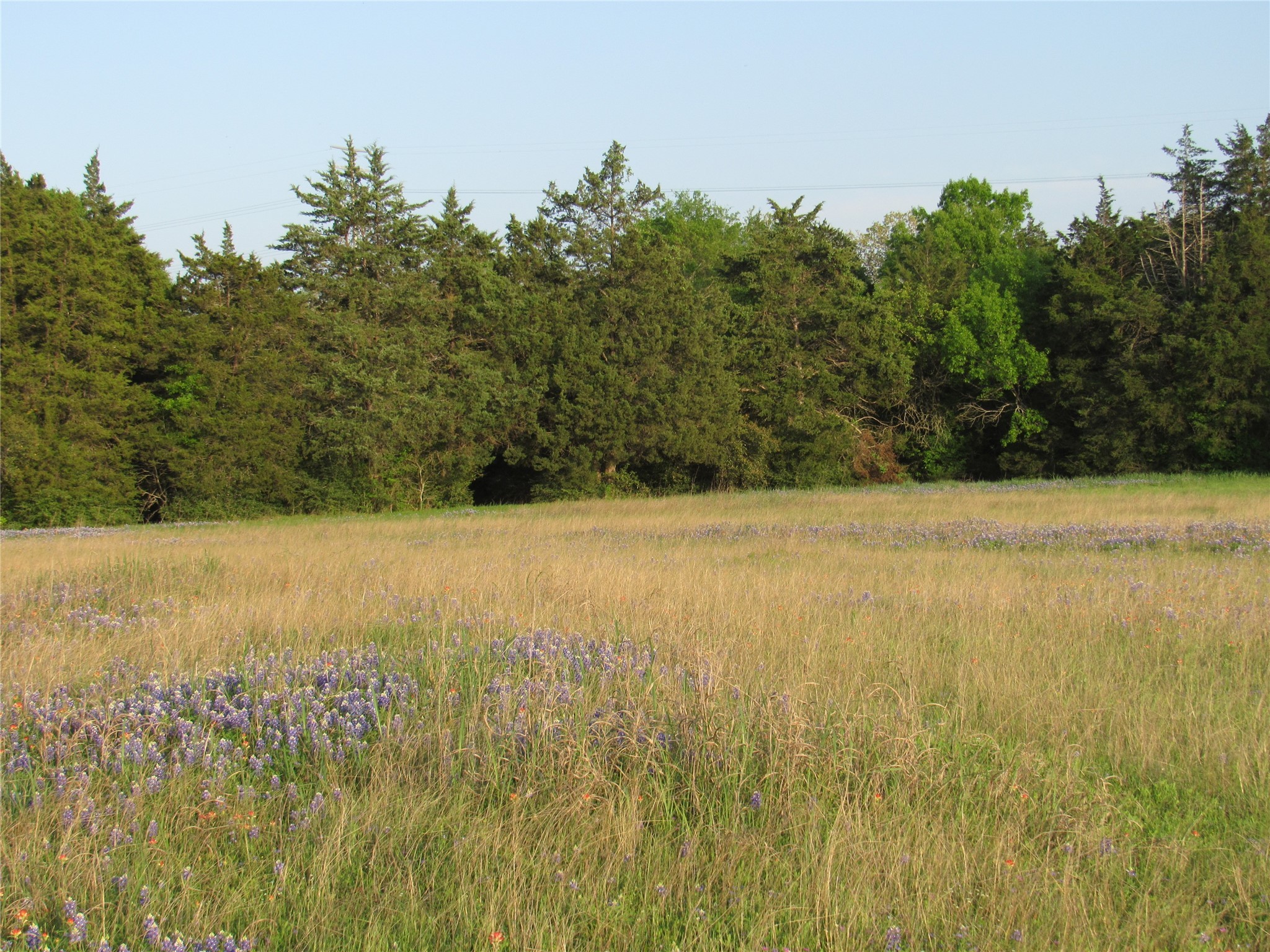 7515 Shelby Road Burton, TX 77835 - Photo 5 of 26 a view of a lake view