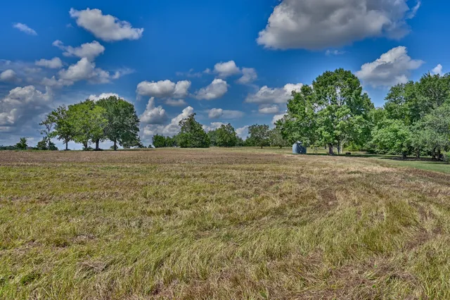 a view of a big yard