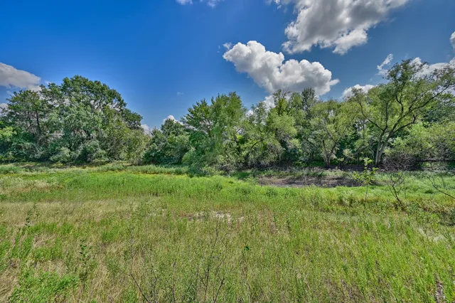 a backyard of a house with lots of green space