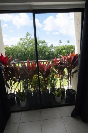 $1,700 | 500 Northeast 2nd Street, Unit 221, Dania Beach, FL 33004