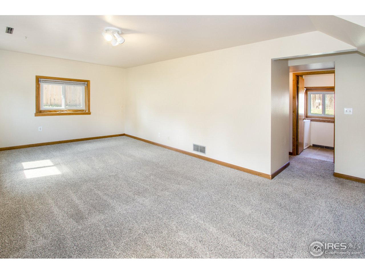 913 Rocky Road Fort Collins, CO 80521 - Photo 16 of 26 Lower level famly room